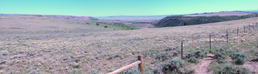 Overlooking Sage Creek Basin.